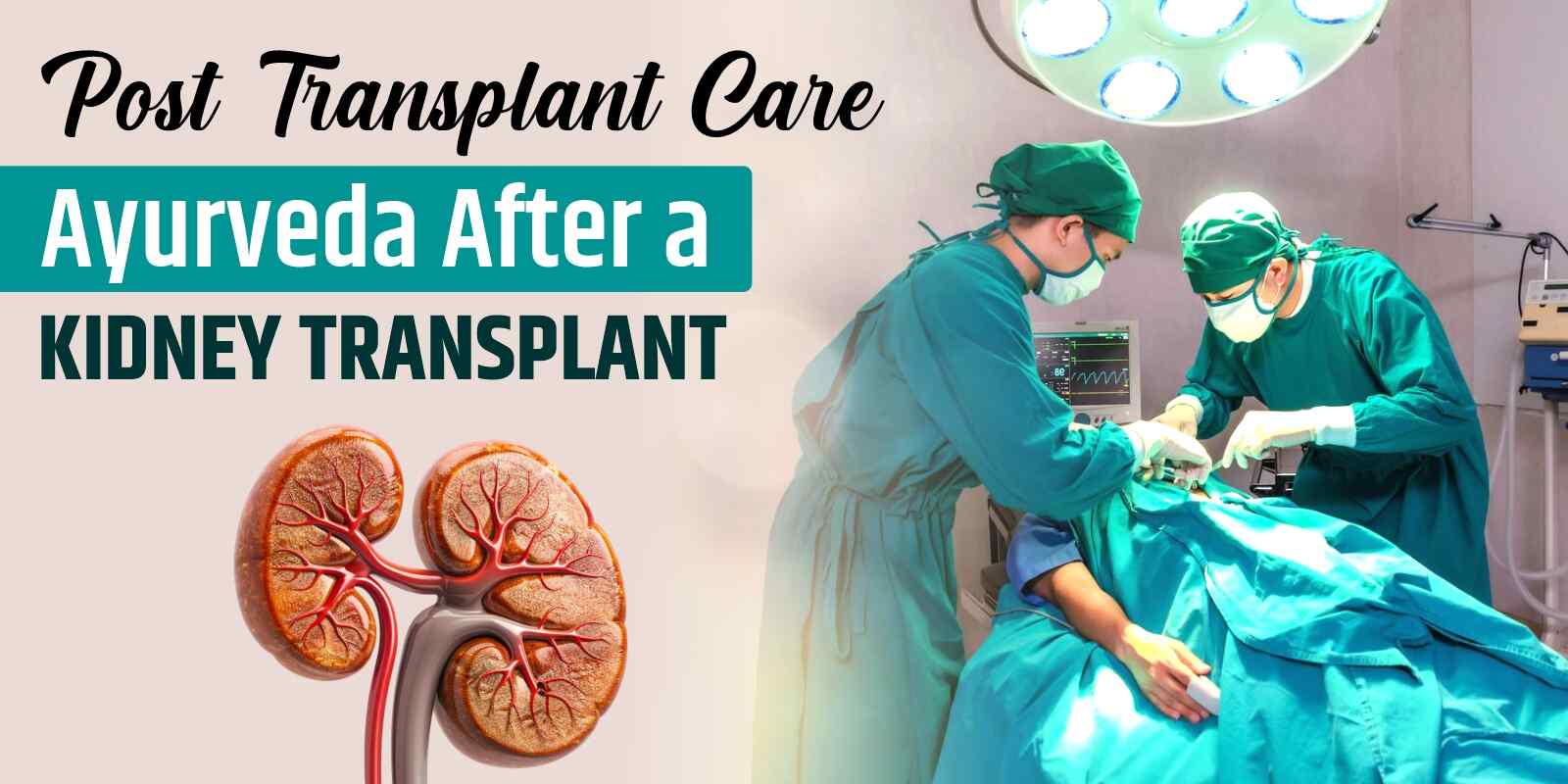 Post-Transplant Care: Ayurveda After a Kidney Transplant
